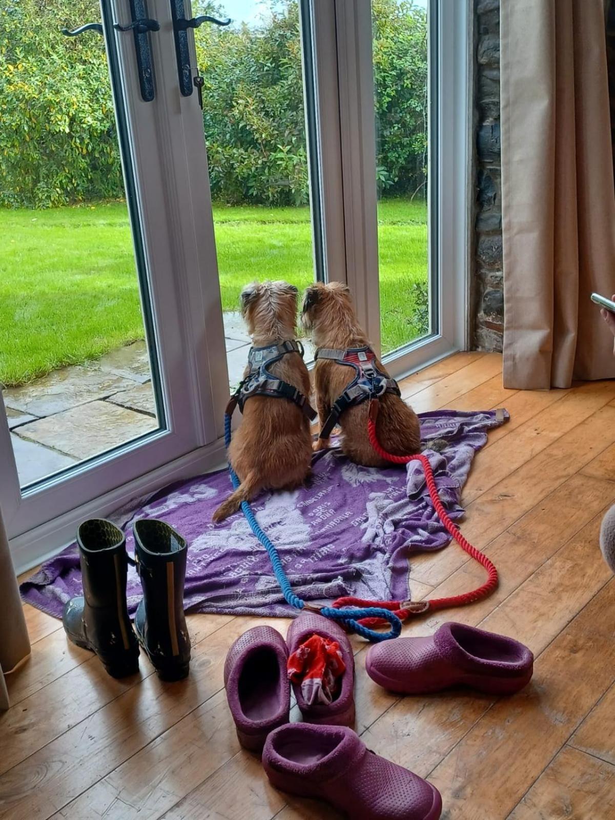 Pippin Lodge Llanwrda 외부 사진