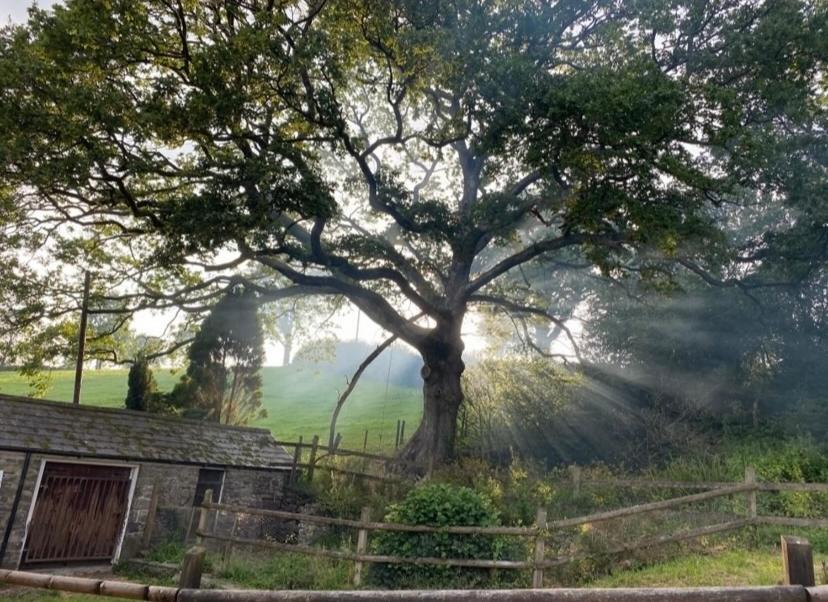 Pippin Lodge Llanwrda 외부 사진