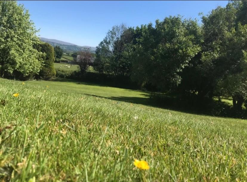 Pippin Lodge Llanwrda 외부 사진